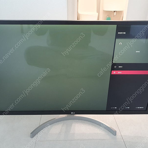 LG 32인치 모니터 32MN500mw