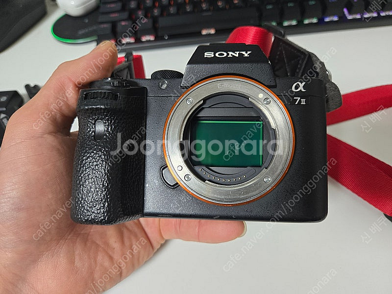 소니 a7m2, 시그마 35mm f1.4--0