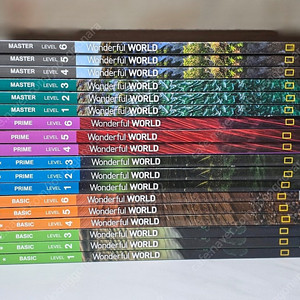 wonderful world