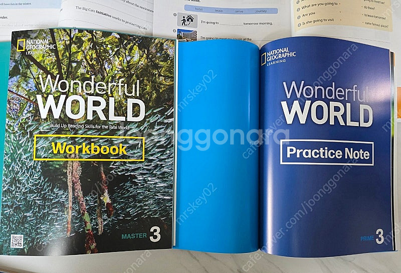 wonderful world--2