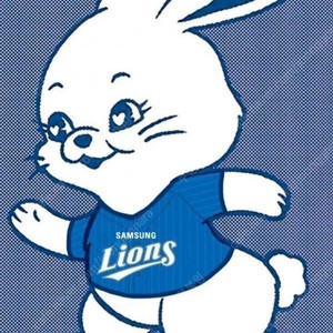 [최저가] 4/18 삼성:롯데 블루존 2연석