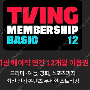 티빙 베이직 1년