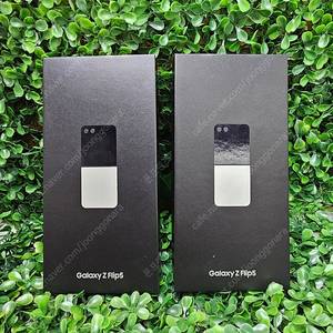 [전국 최저가 판매] 갤럭시 Z플립5 256GB 미개봉 새제품 팝니다.