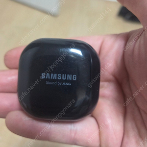 버즈라이브 팝니다