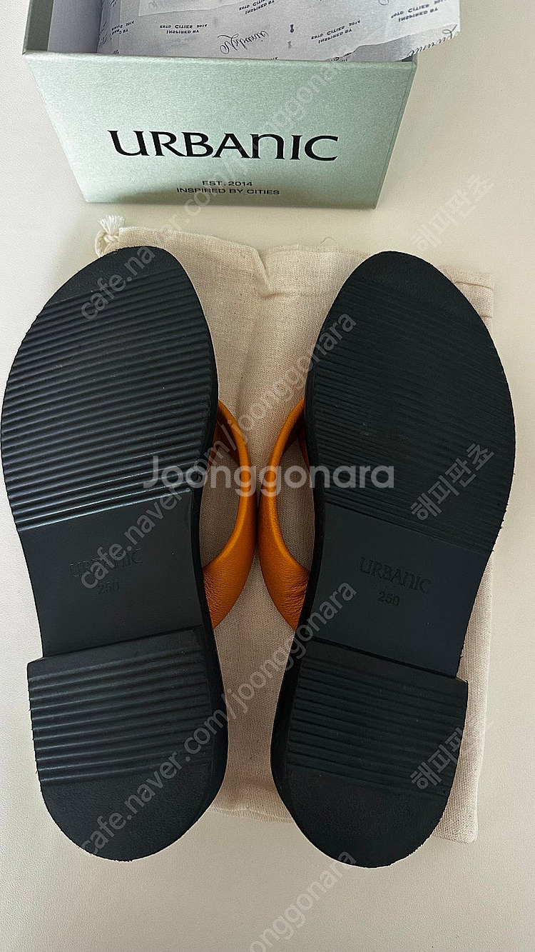 얼바닉30 플립플랍 250--5
