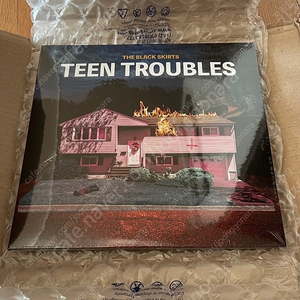 검정치마 TEEN TROUBLES LP 미개봉