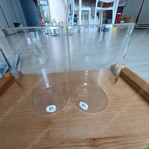 plants 유리컵 등