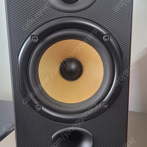 B&W DM601 스피커