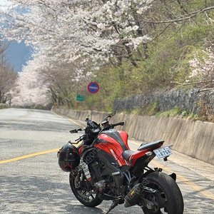 가와사키 z1000