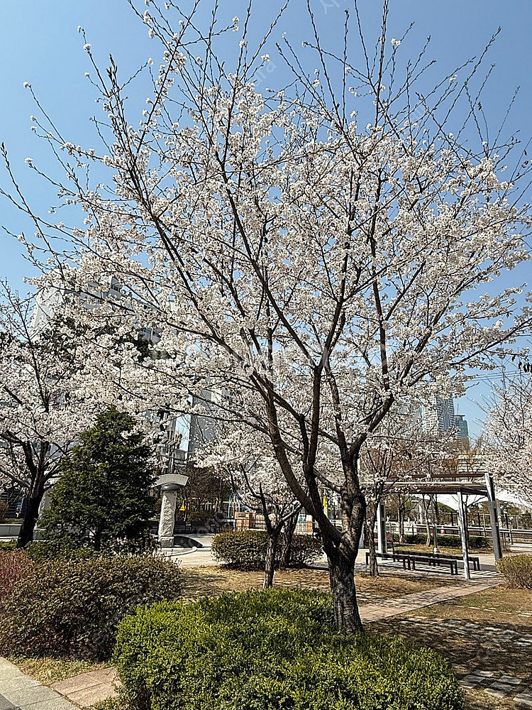 콜드플레이 19일 스탠딩 아무거나 삽니다--0