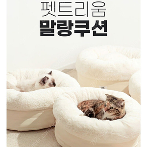 고양이, 강아지 극세사 방석(펫트리움)
