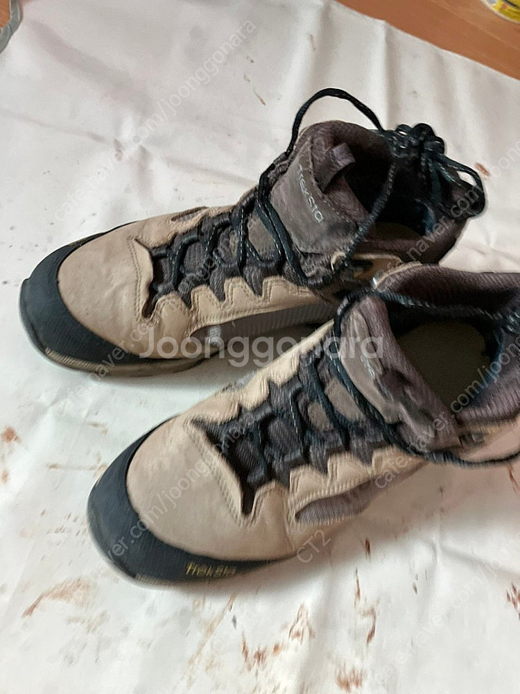 트렉스타 스타호크 gtx 등산화 270--4