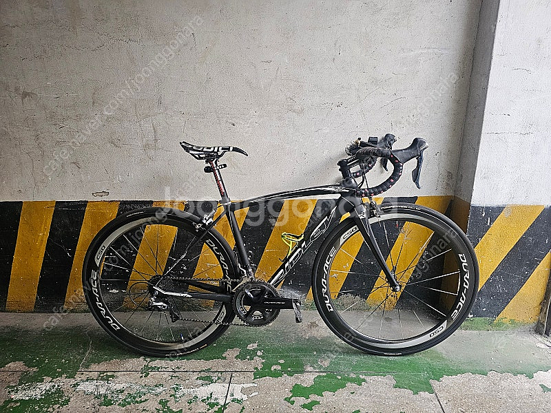 림브 리들리 피닉스 FENIX SL XXS--0