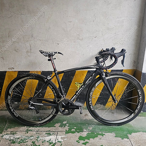 림브 리들리 피닉스 FENIX SL XXS