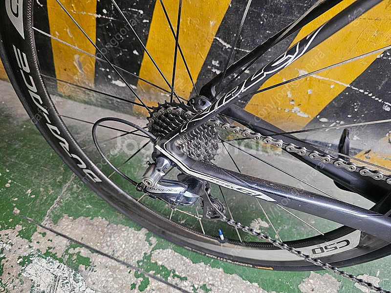 림브 리들리 피닉스 FENIX SL XXS--4