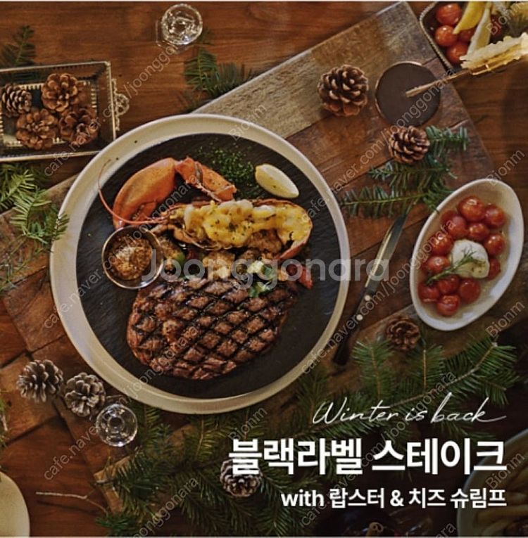 아웃백 25% 할인 쿠폰입니다--0