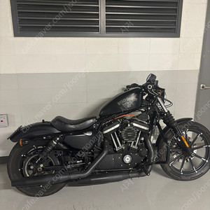 할리데이비슨 아이언883