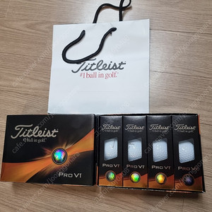 타이틀리스트 골프공 titleist 골프공