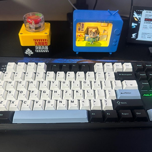 펀키스 독거미 F108 경해축 키보드