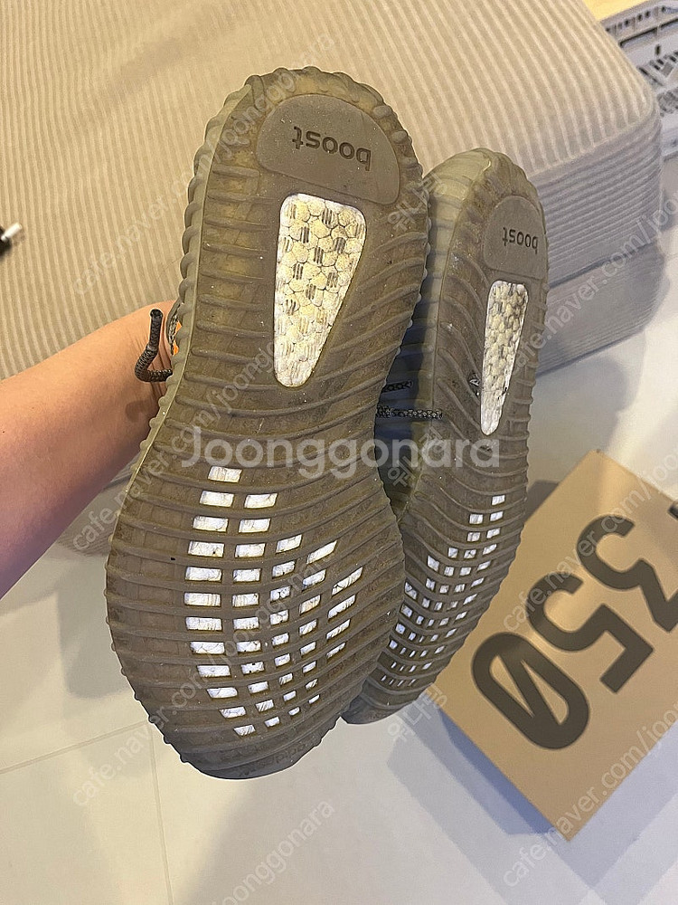 아디다스 이지부스트350 벨루가 270--3