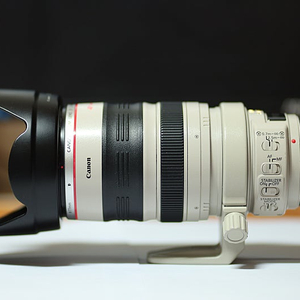 캐논 EF 28-300 IS [할배백통] 양도합니다.
