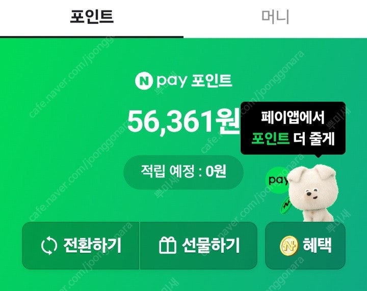 네이버페이 포인트 5만6천--0