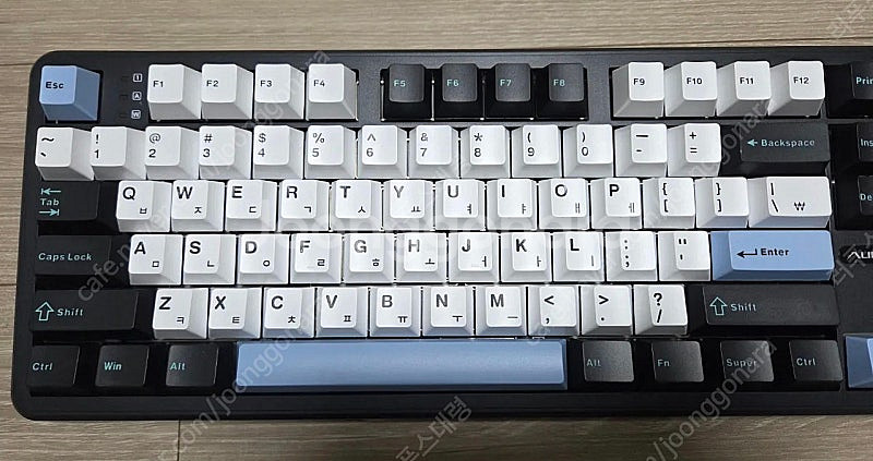정발 독거미 풀배열 f108 경해축 스카이블랙--3