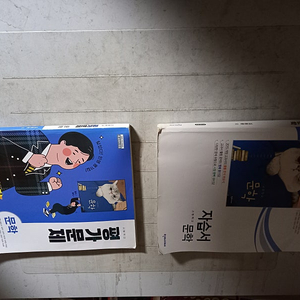 고등학교 문학 자습서+평가문제 김동환 천재 총2권 공부흔적 많음 / 문제풀이한부분은 컬러복사 복구예정 (배송비 별도)