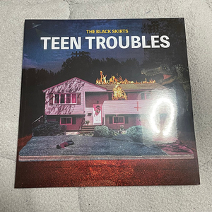 검정치마 teentrobles 틴트러블 lp 미개봉