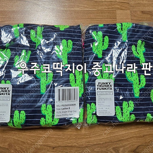 펑키타 선인장(w8, 보이14)