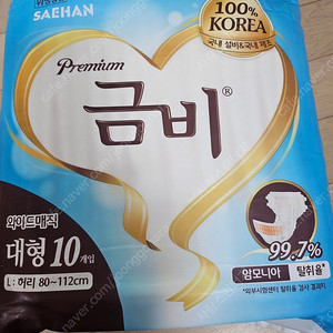 성인 기저귀