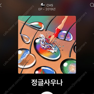 CHS 정글사우나 LP 구합니다