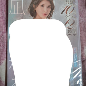나기 히카루 dvd