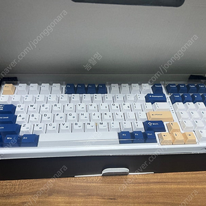 aula f98 독거미 키보드 회목축