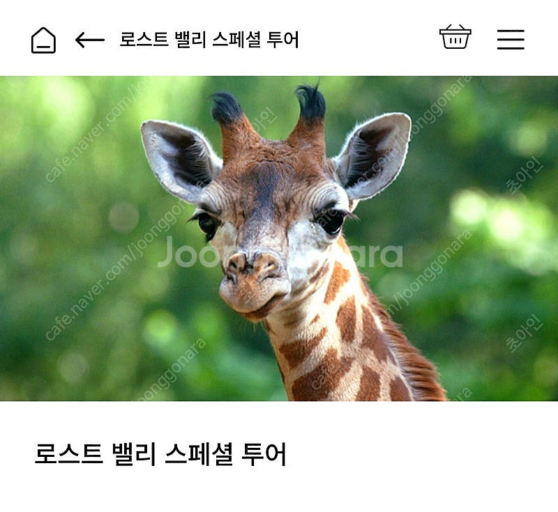 4/26(토) 로스트 밸리 스페셜 투어 판매합니다--0