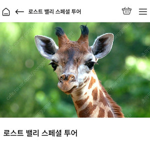 4/26(토) 로스트 밸리 스페셜 투어 판매합니다
