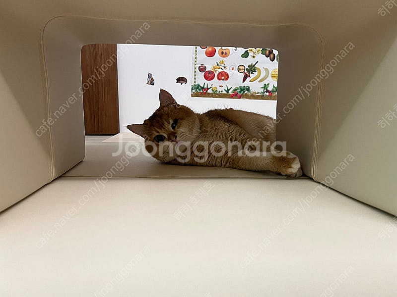 콜드플레이--0