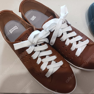 캠퍼 255~260ㆍ각각의 가격