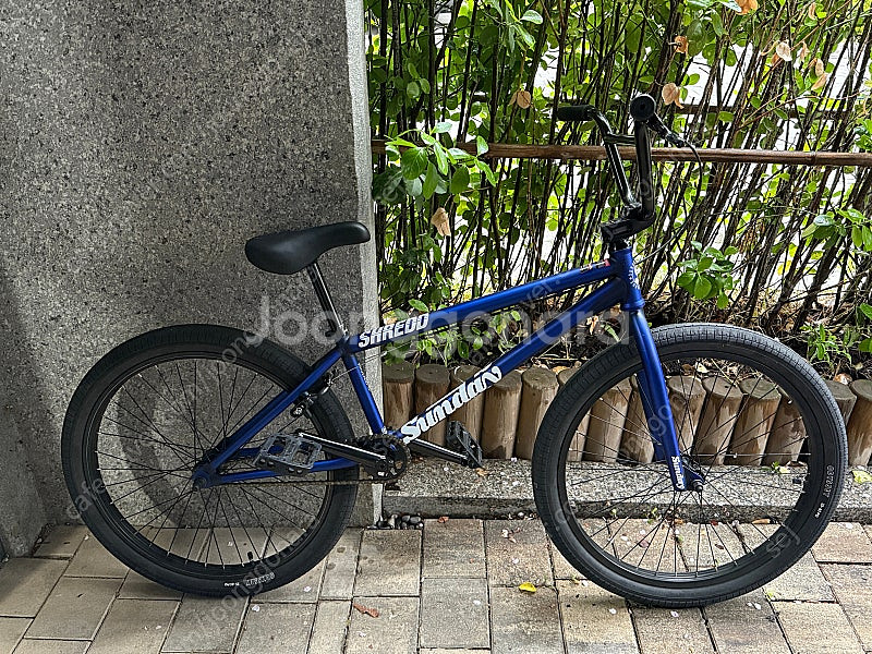 선데이 BMX 모델 C 24 인치--0