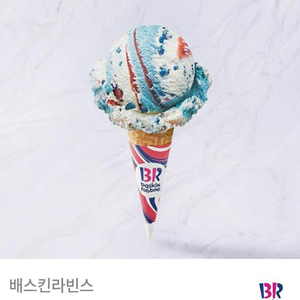 배라 싱글레귤러 2900원에 팝니다 (7.14까지)