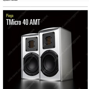 구매합니다-피에가 Tmicro 40 AMT