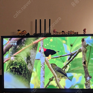 삼성 세리프 티비 49인치 QN49LS01RBFXKR
