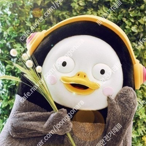 검정치마 토요일 공연 테이블석 및 스탠딩 10번대 연석 양도합니다.(가격인하)