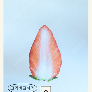 옥토 책갈피 딸기