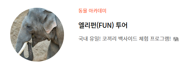에버랜드 엘리펀 투어 27일 구해요--0