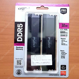 마이크론 크루셜 pro ddr5 6000 cl36 16 기가x2