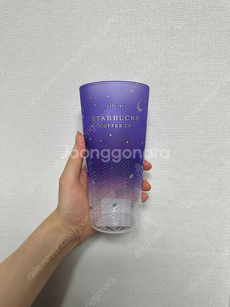 스타벅스 서머 포레스트 글라스 컵--1