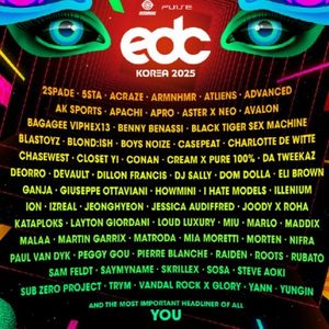 EDC Korea 2025 양일권 티켓 2장 팔아요