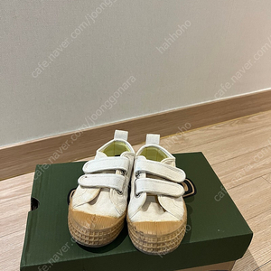노베스타 24사이즈(155-160)