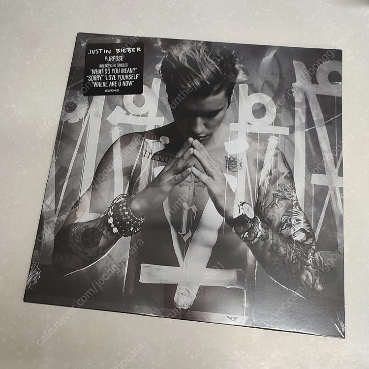 Justin Bieber (저스틴 비버) - Purpose (2LP) 이미지